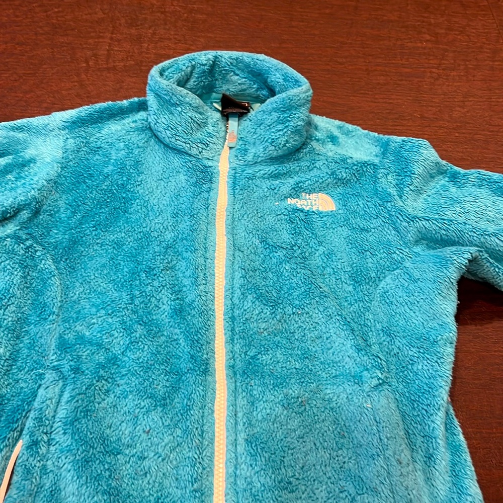 Northface Girls Child Large (14-16) Fleece Jacket